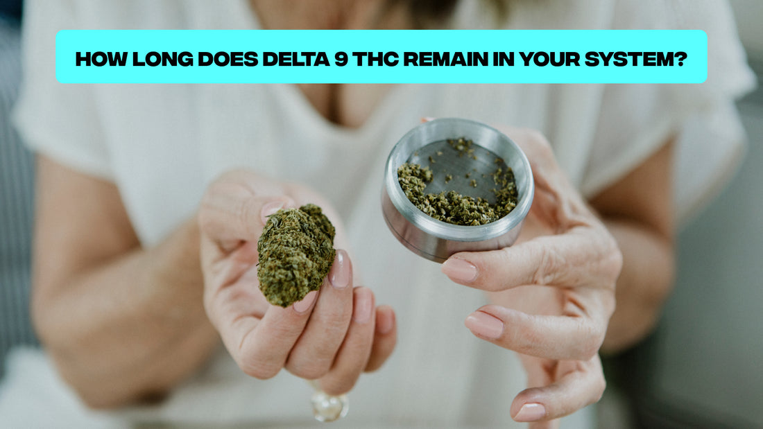 Delta 9 THC Remain in System