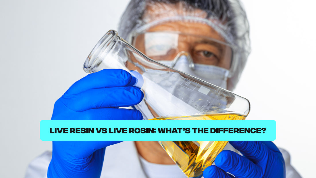 Live Resin Vs Live Rosin