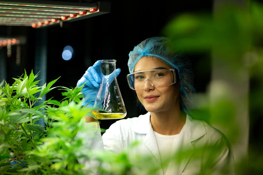 Everything You Need To Know About This New Cannabinoid PHC