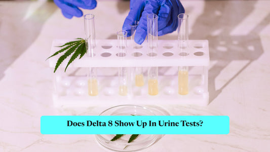 Does Delta 8 Show Up In Urine Tests?