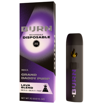 Burn Hemp Lava Blend Disposable 2G