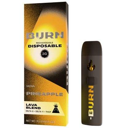 Burn Hemp Lava Blend Disposable 2G