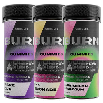 Burn Hemp Scorched Gummies Bundle | 22500MG