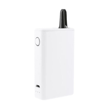 Cartisan Box White