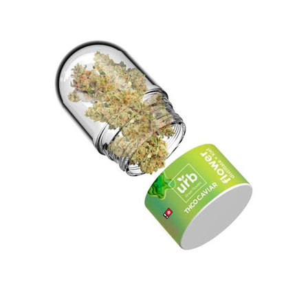 URB THC-O Flower 7g