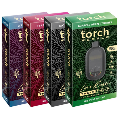 Torch Pebble Disposable Bundle | 24G
