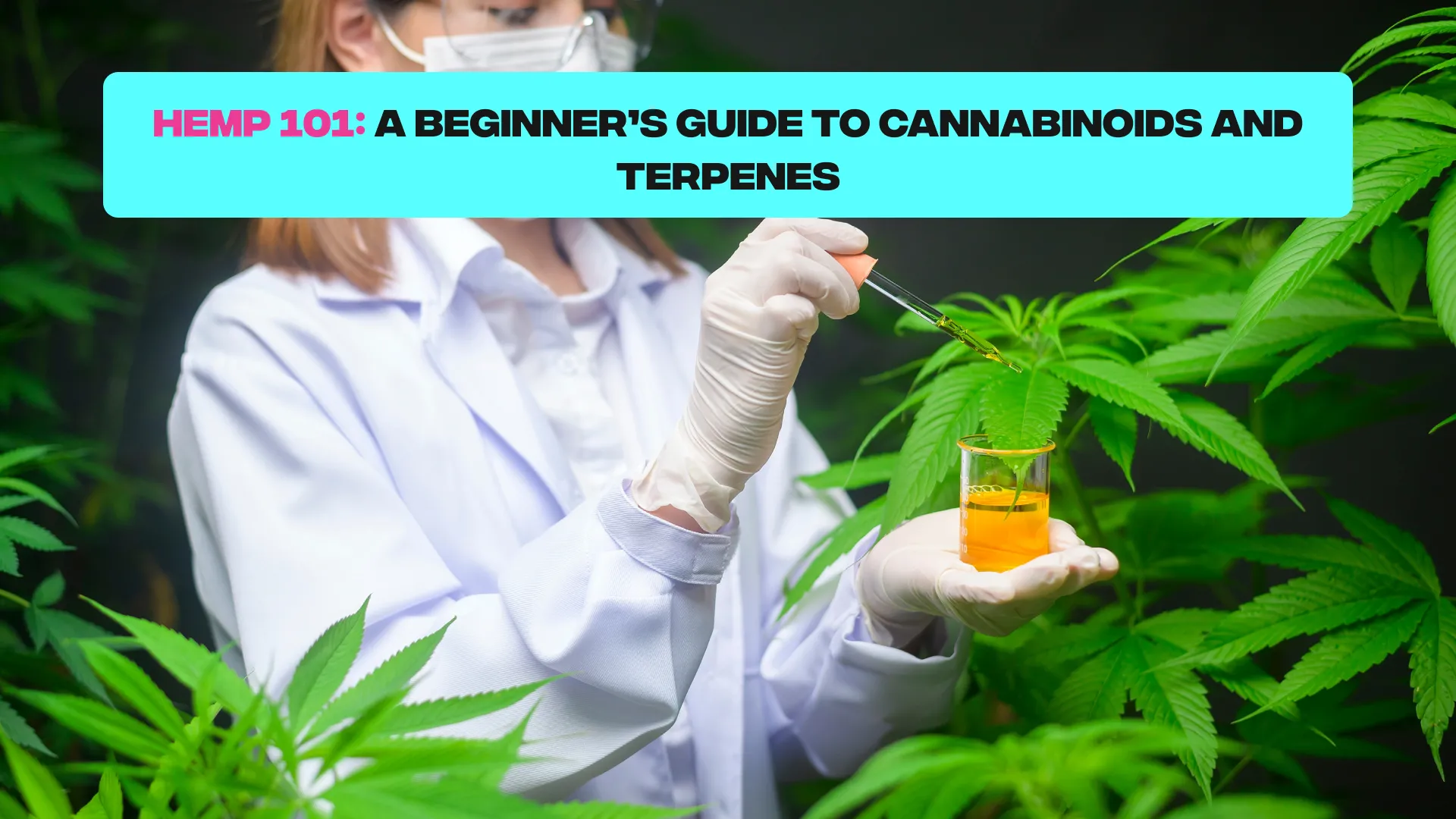 Hemp 101
