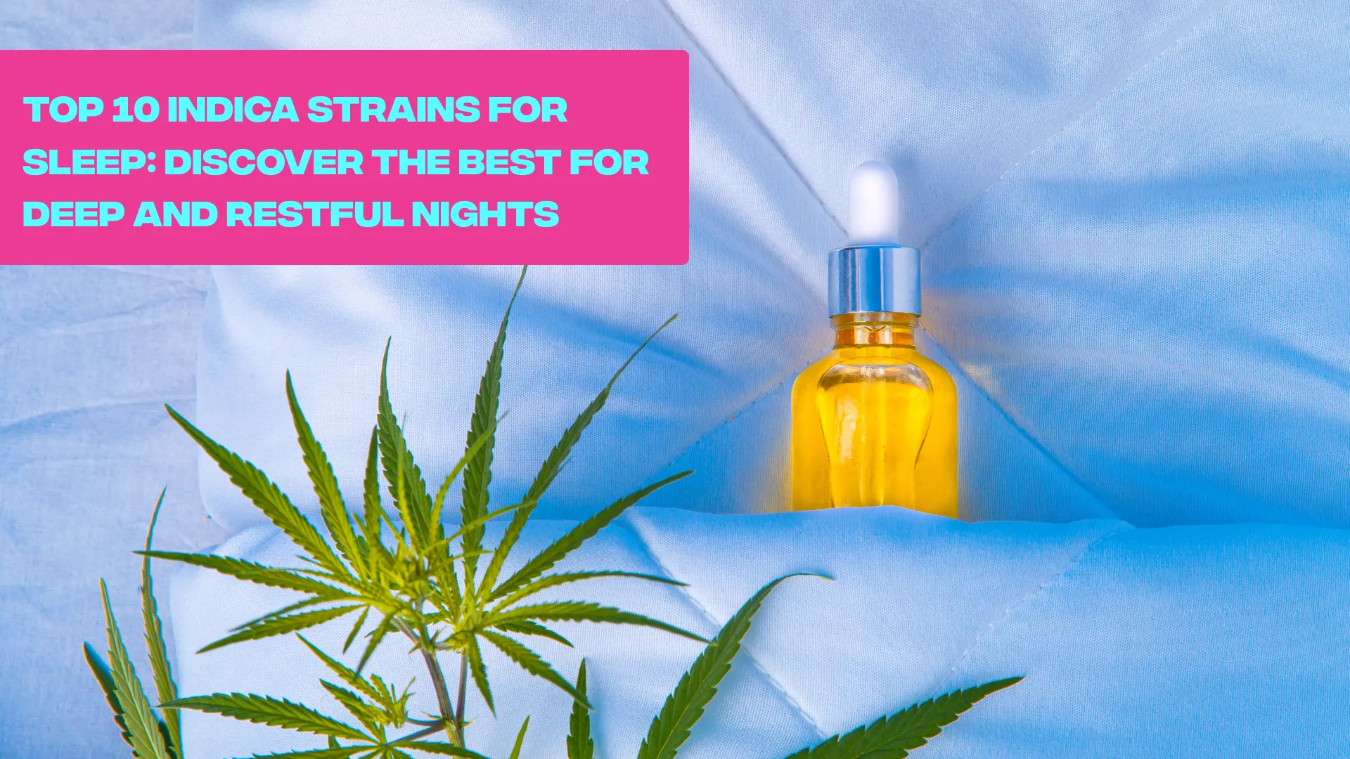 Top Indica Strain For Sleep