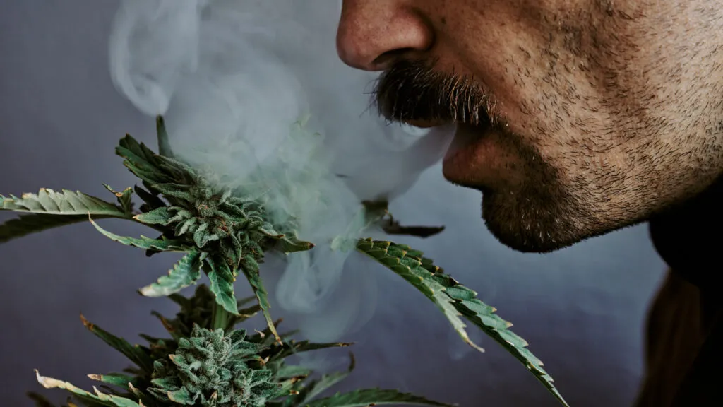 Is THC-P Legal