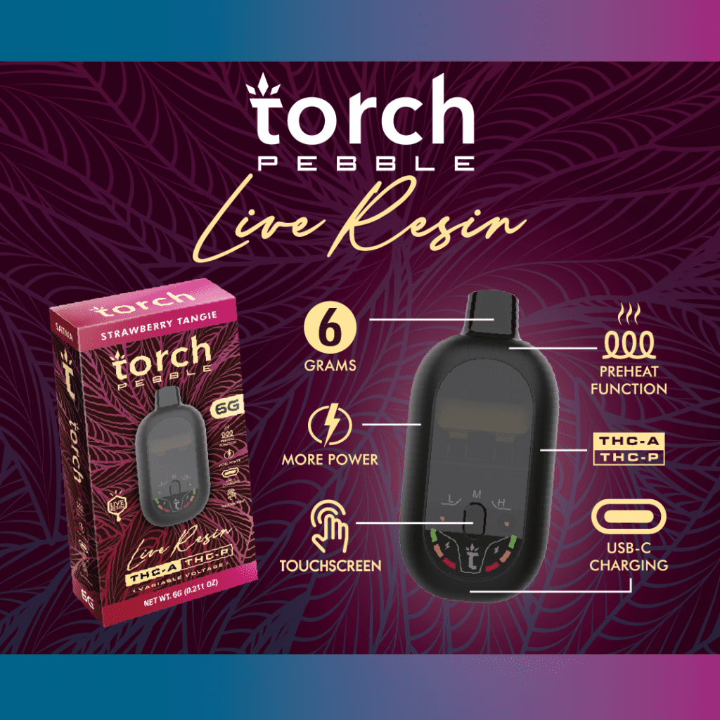 information on the Torch Pebble Disposable