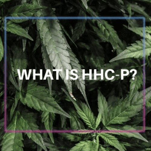 What is HHC-P?