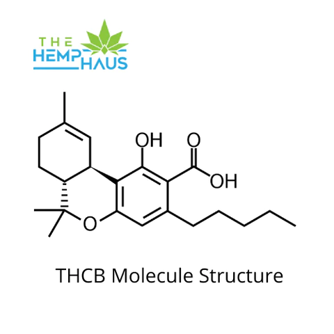 thcb-molecular-structure