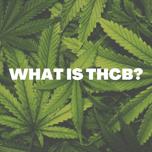 What is THCB?