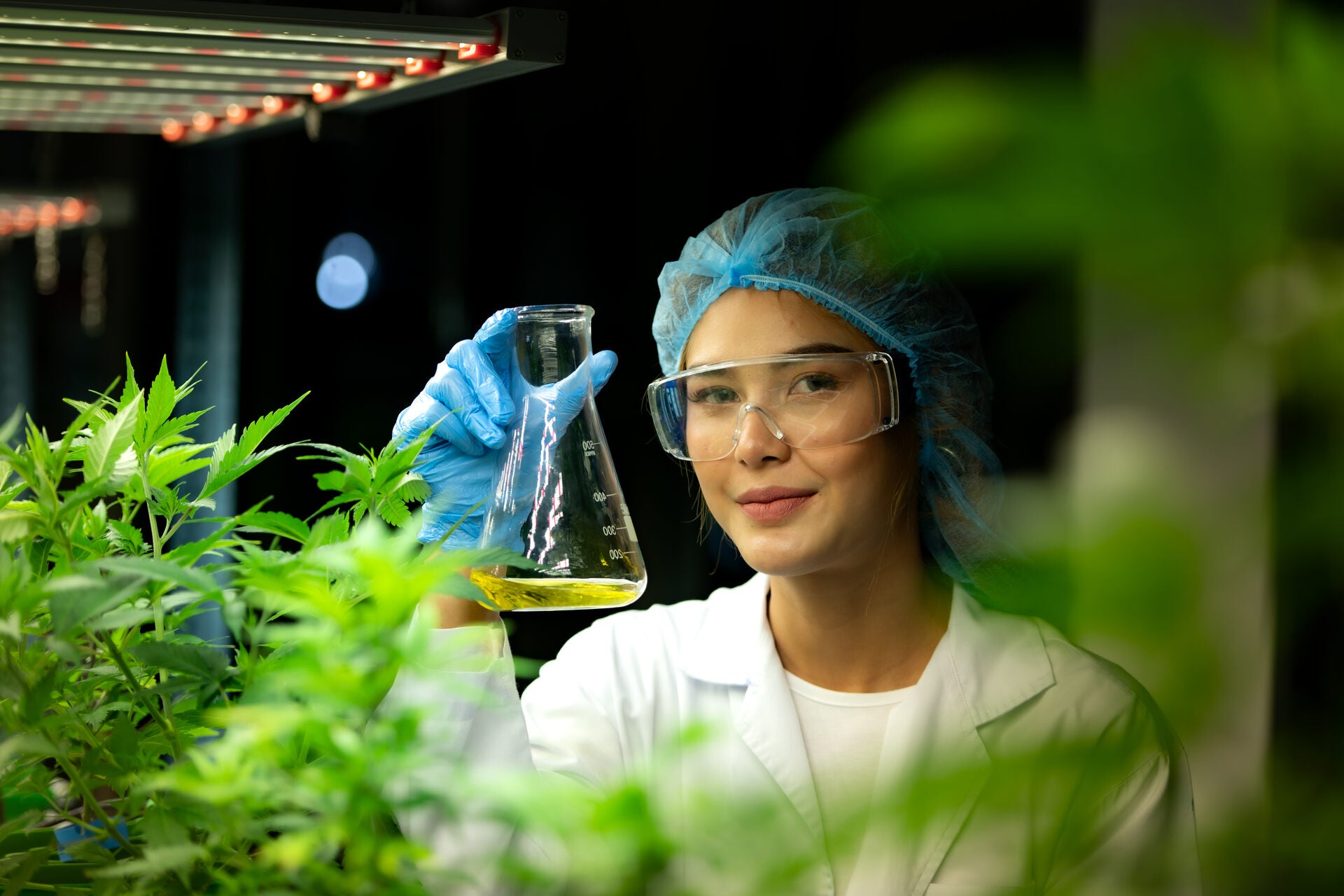 What is PHC? Everything You Need To Know About This New Cannabinoid