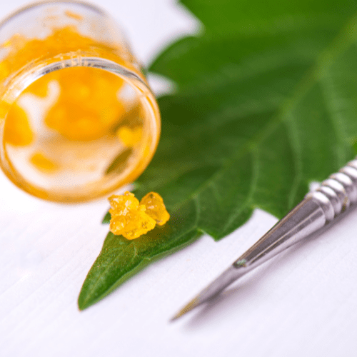 Live Resin vs Oleoresin: What’s The Difference?