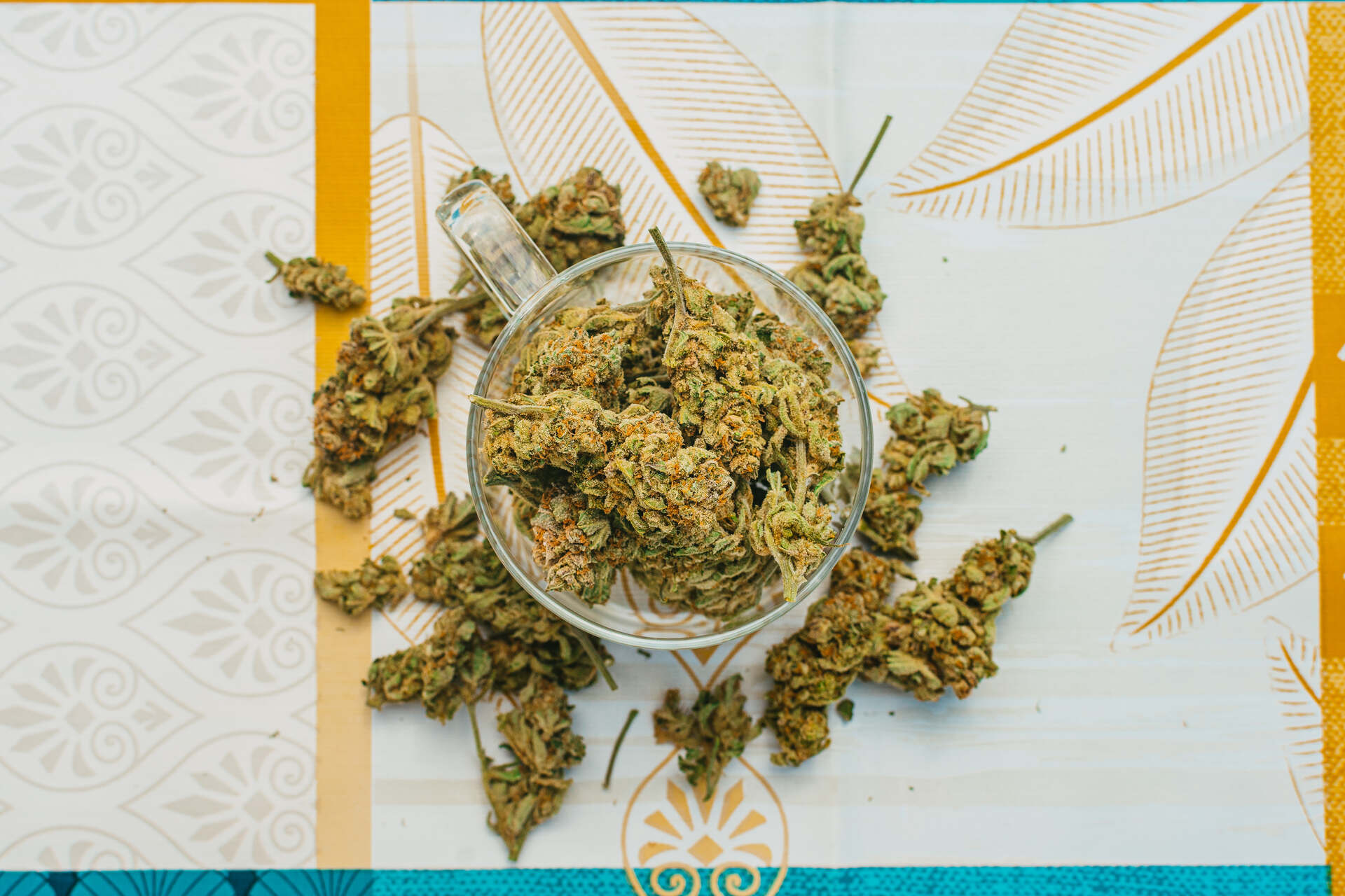 Choosing Your Strain: A Beginner’s Guide to Indica, Sativa, and Hybrid