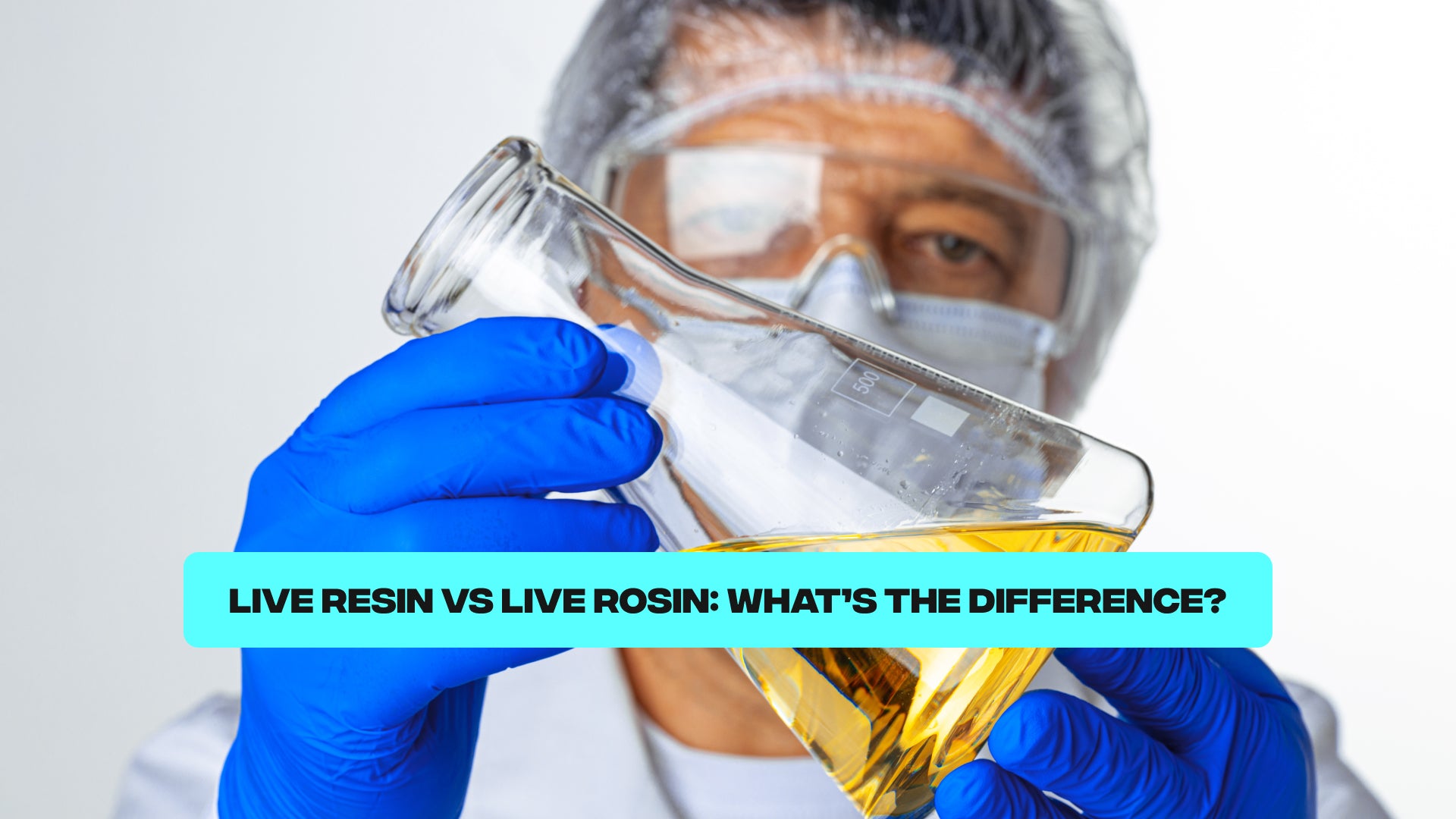 Live Resin Vs Live Rosin: What’s the Difference?