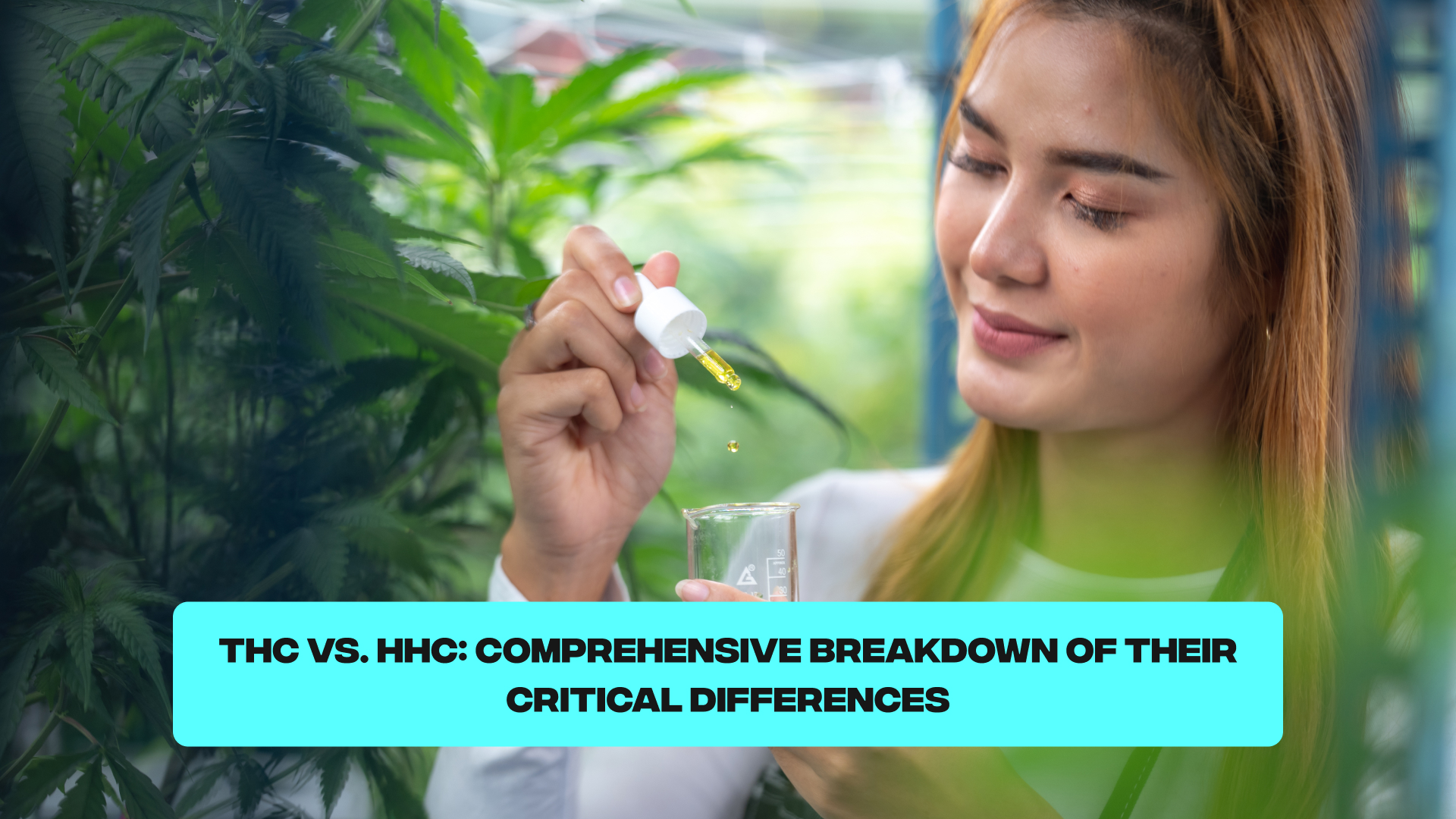 THC vs HHC