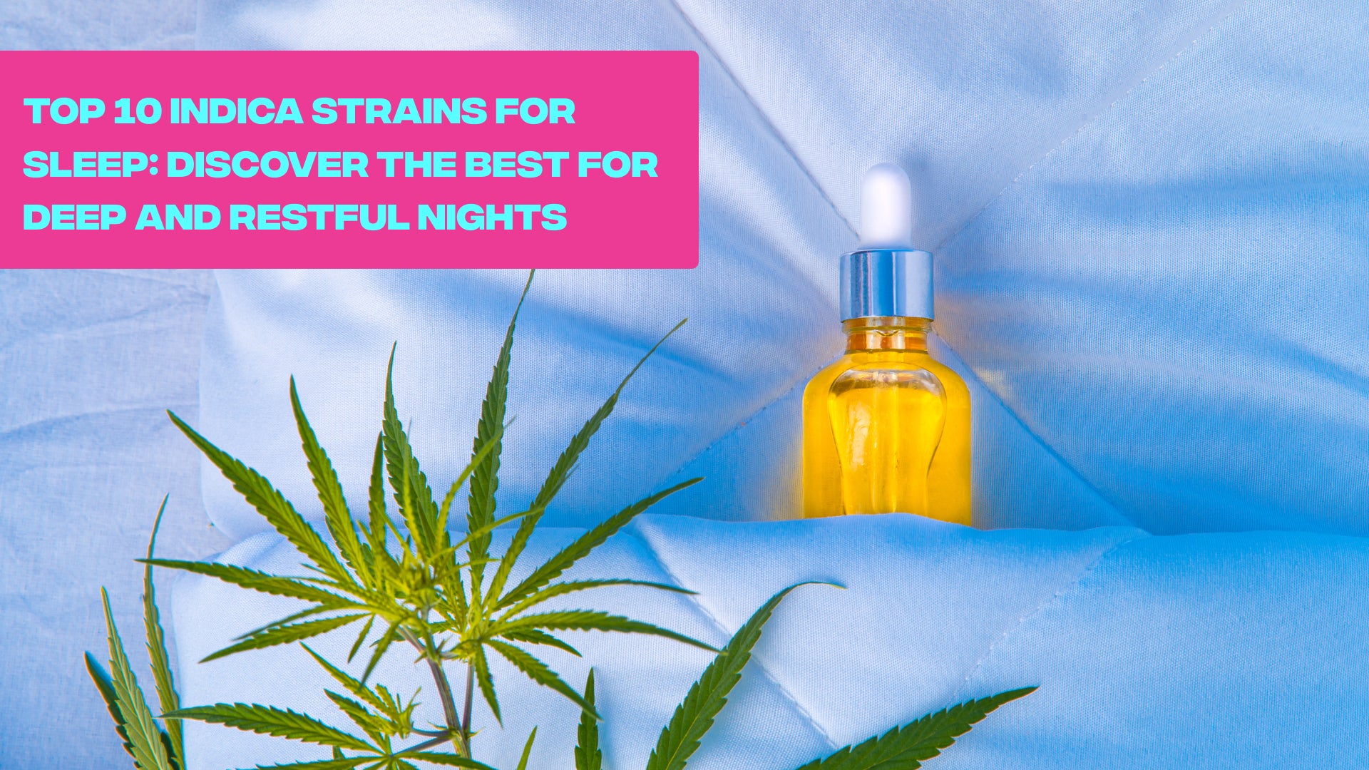 Top 10 Indica Strains for Sleep: Discover the Best for Deep and Restful Nights