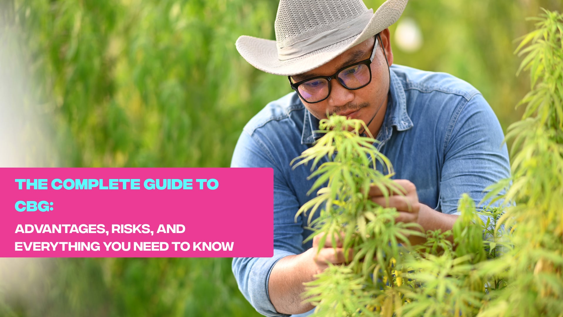 The Complete Guide to CBG: Advantages, Risks, and Everything You Need to Know