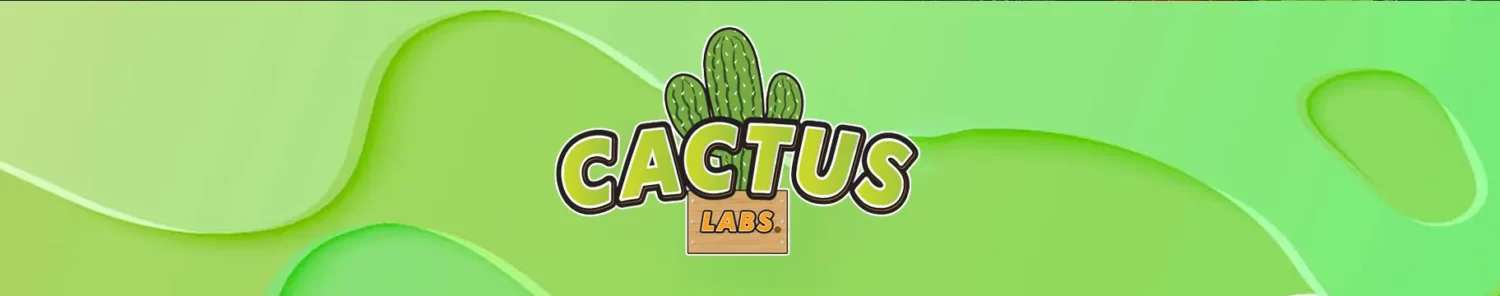footer cactus scaled 1 webp