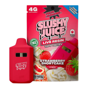 delta munchies slushy juice disposable 4g