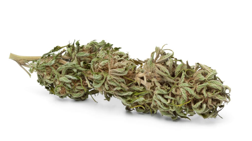 THC-P Cannabis