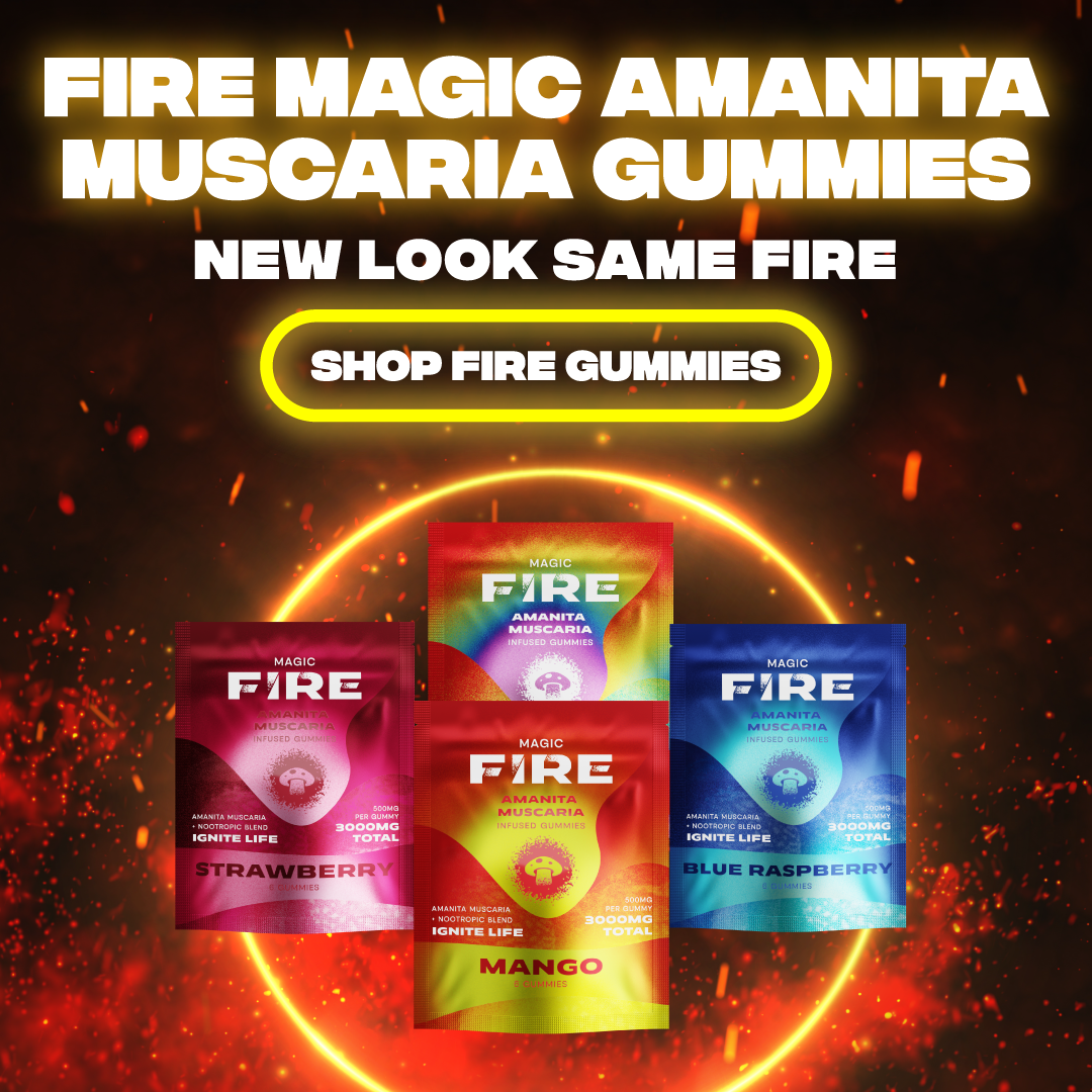Shop Our New Fire Hemp Mushroom Gummies