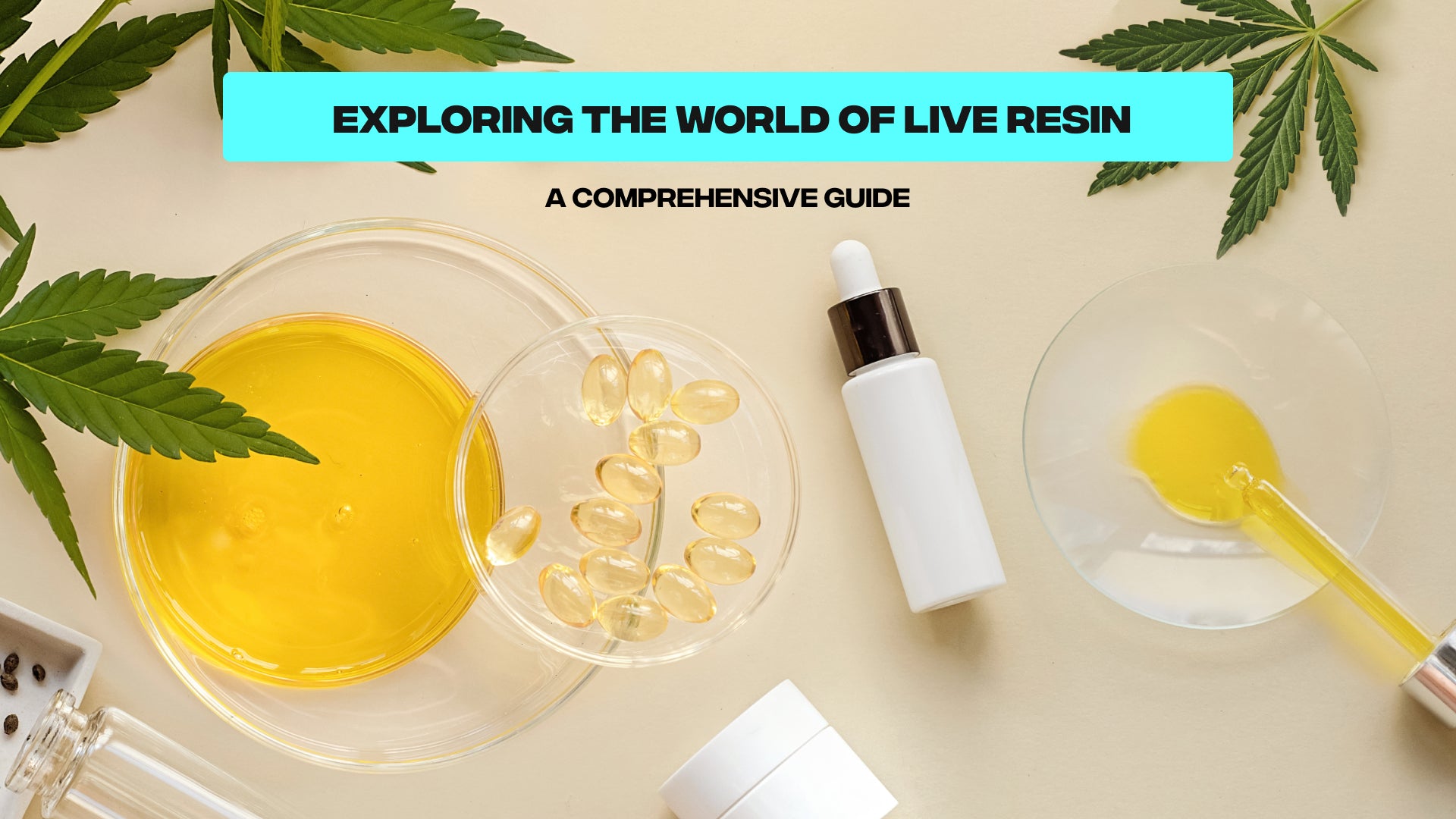 Exploring the World of Live Resin: A Comprehensive Guide