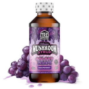 Tre House Magic Mushroom Syrup