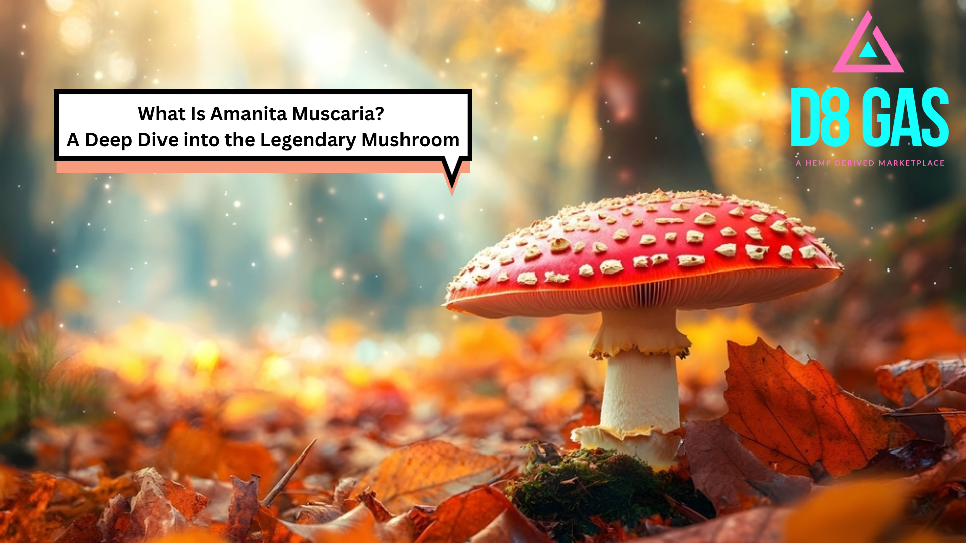 What Is Amanita Muscaria? A Deep Dive into the Legendary Mushroom