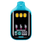 Boutiq Switch V5 Disposable Vape 2G