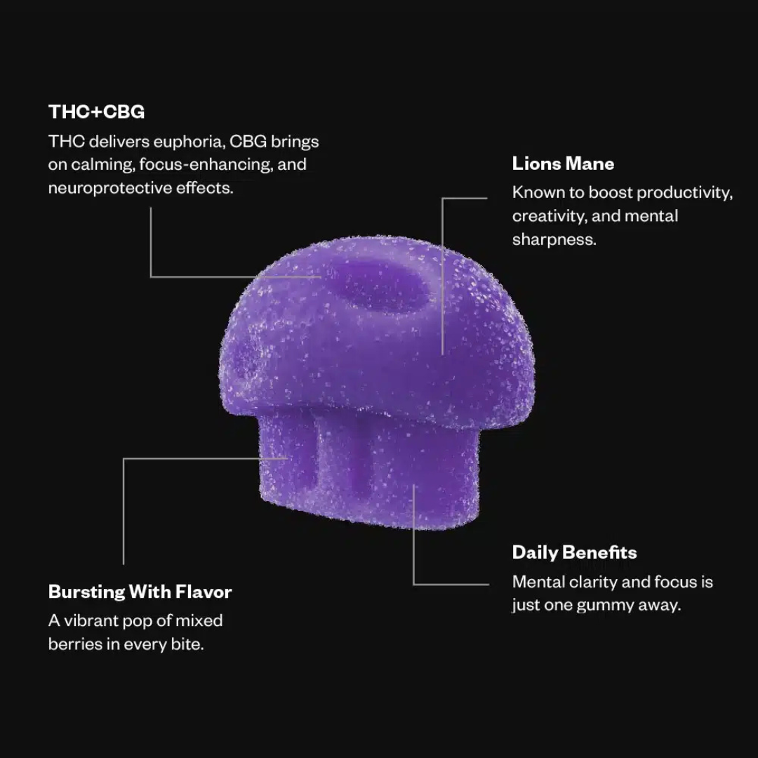 Munchies Functional Microdose Gummies | Big Brain Blend - Image 3