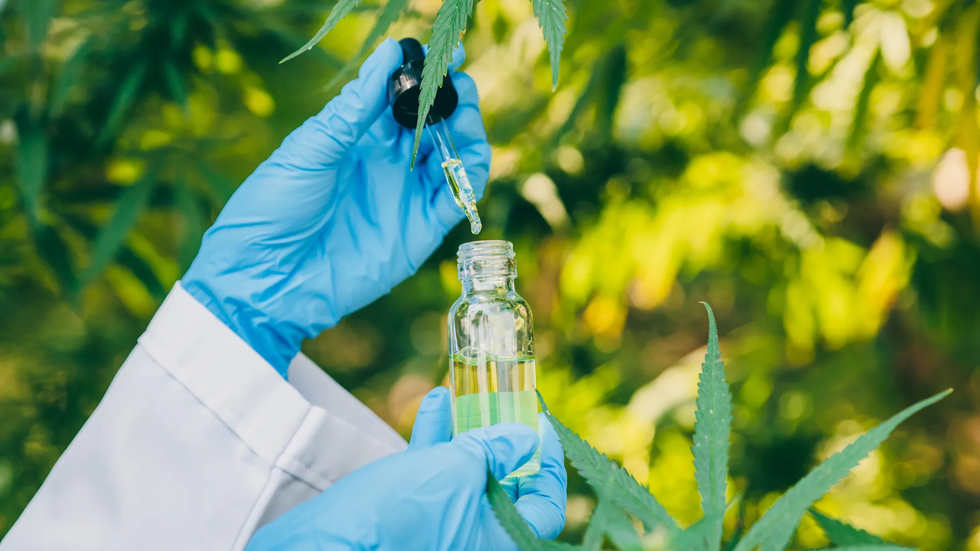 Hemp 101 Guide