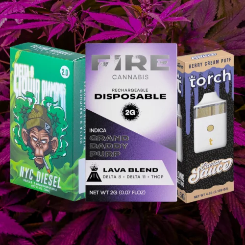 Shop Our Disposable Collection